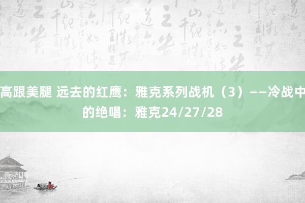 高跟美腿 远去的红鹰：雅克系列战机（3）——冷战中的绝唱：雅克24/27/28