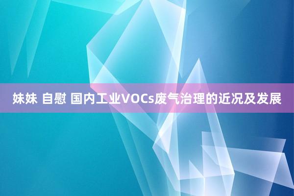 妹妹 自慰 国内工业VOCs废气治理的近况及发展