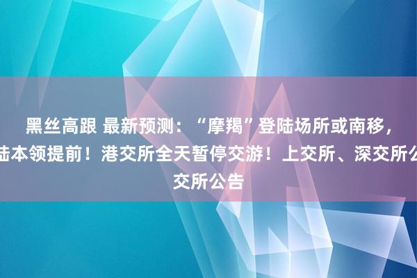 黑丝高跟 最新预测：“摩羯”登陆场所或南移，登陆本领提前！港交所全天暂停交游！上交所、深交所公告