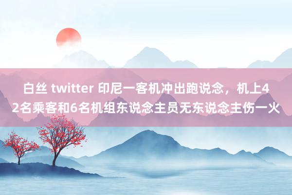 白丝 twitter 印尼一客机冲出跑说念，机上42名乘客和6名机组东说念主员无东说念主伤一火