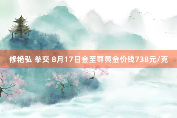 修艳弘 拳交 8月17日金至尊黄金价钱738元/克