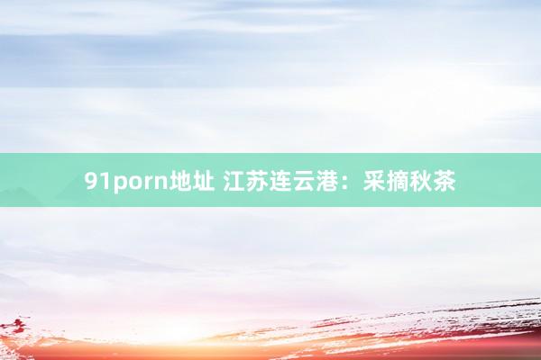 91porn地址 江苏连云港：采摘秋茶