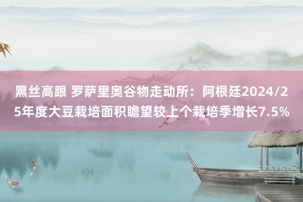 黑丝高跟 罗萨里奥谷物走动所：阿根廷2024/25年度大豆栽培面积瞻望较上个栽培季增长7.5%