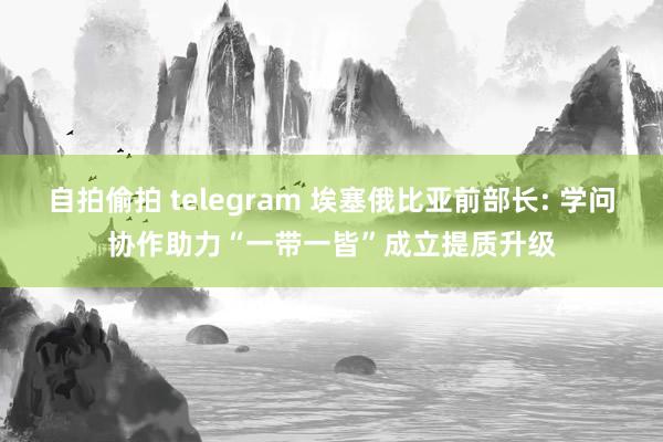 自拍偷拍 telegram 埃塞俄比亚前部长: 学问协作助力“一带一皆”成立提质升级