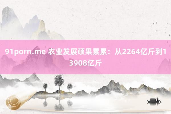 91porn.me 农业发展硕果累累：从2264亿斤到13908亿斤