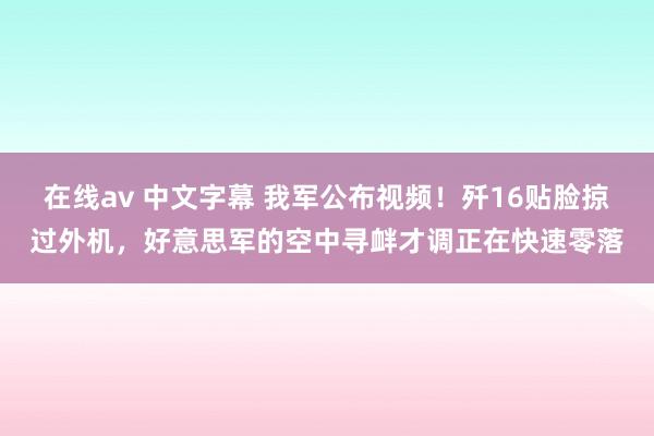 在线av 中文字幕 我军公布视频！歼16贴脸掠过外机，好意思军的空中寻衅才调正在快速零落