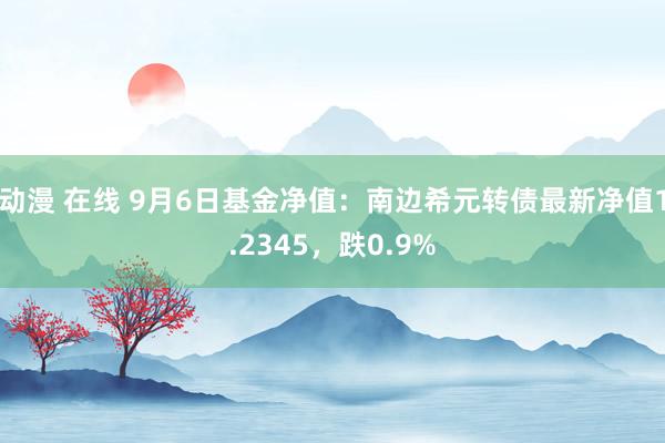 动漫 在线 9月6日基金净值：南边希元转债最新净值1.2345，跌0.9%