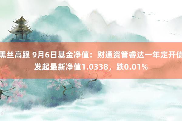 黑丝高跟 9月6日基金净值：财通资管睿达一年定开债发起最新净值1.0338，跌0.01%