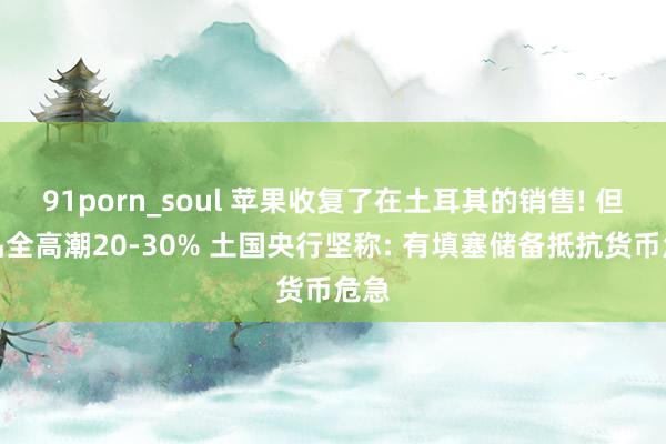 91porn_soul 苹果收复了在土耳其的销售! 但居品全高潮20-30% 土国央行坚称: 有填塞储备抵抗货币危急