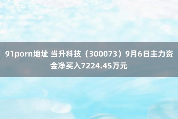 91porn地址 当升科技（300073）9月6日主力资金净买入7224.45万元