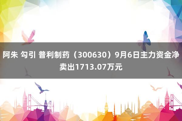 阿朱 勾引 普利制药（300630）9月6日主力资金净卖出1713.07万元