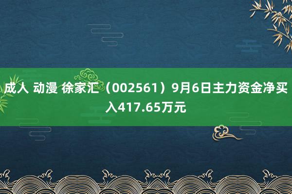 成人 动漫 徐家汇（002561）9月6日主力资金净买入417.65万元