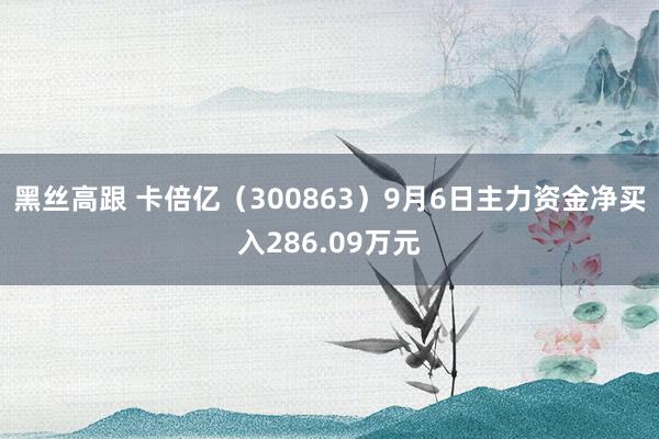 黑丝高跟 卡倍亿（300863）9月6日主力资金净买入286.09万元