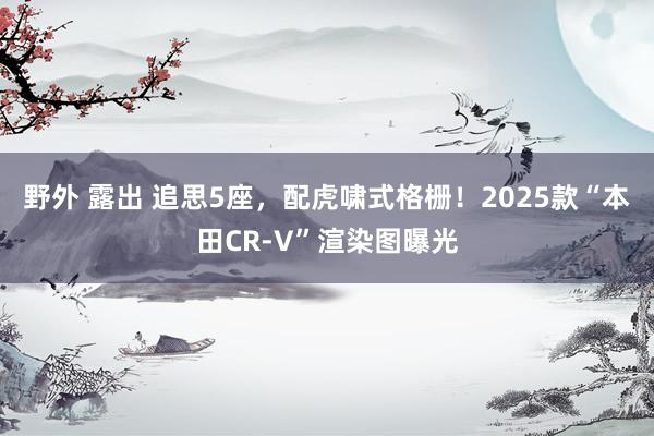 野外 露出 追思5座，配虎啸式格栅！2025款“本田CR-V”渲染图曝光