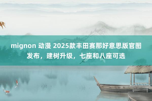 mignon 动漫 2025款丰田赛那好意思版官图发布，建树升级，七座和八座可选