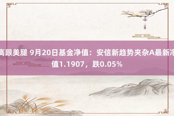 高跟美腿 9月20日基金净值：安信新趋势夹杂A最新净值1.1907，跌0.05%