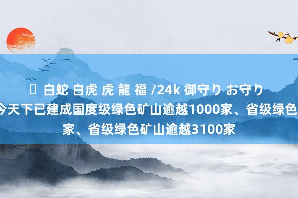 ✨白蛇 白虎 虎 龍 福 /24k 御守り お守り 当然资源部：当今天下已建成国度级绿色矿山逾越1000家、省级绿色矿山逾越3100家