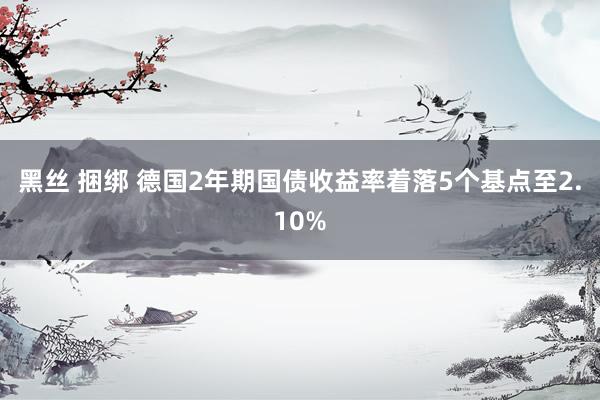 黑丝 捆绑 德国2年期国债收益率着落5个基点至2.10%