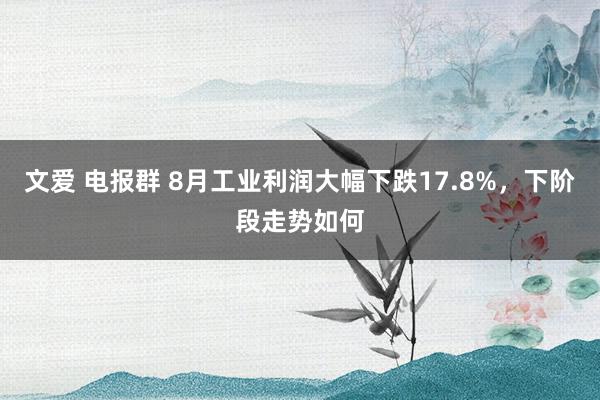 文爱 电报群 8月工业利润大幅下跌17.8%，下阶段走势如何