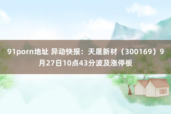 91porn地址 异动快报：天晟新材（300169）9月27日10点43分波及涨停板