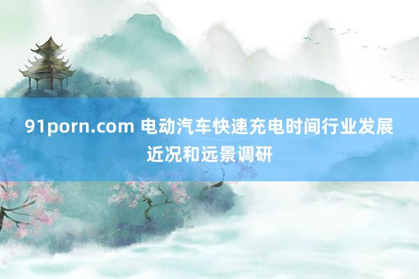 91porn.com 电动汽车快速充电时间行业发展近况和远景调研