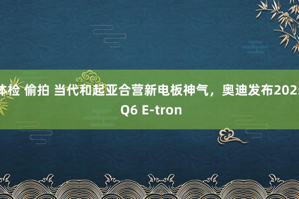 体检 偷拍 当代和起亚合营新电板神气，奥迪发布2025 Q6 E-tron