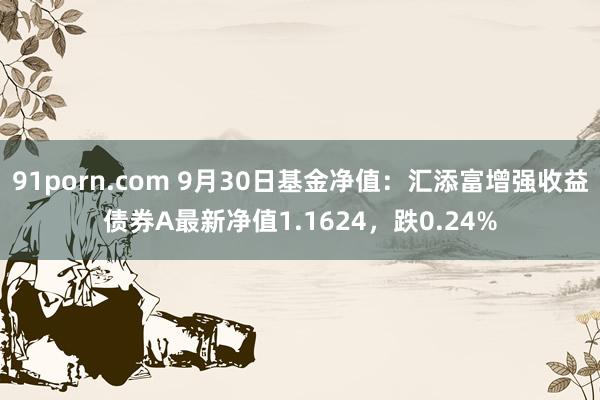 91porn.com 9月30日基金净值：汇添富增强收益债券A最新净值1.1624，跌0.24%