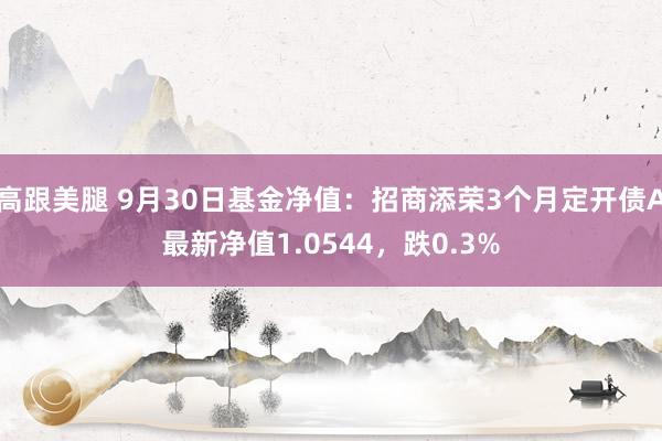 高跟美腿 9月30日基金净值：招商添荣3个月定开债A最新净值1.0544，跌0.3%