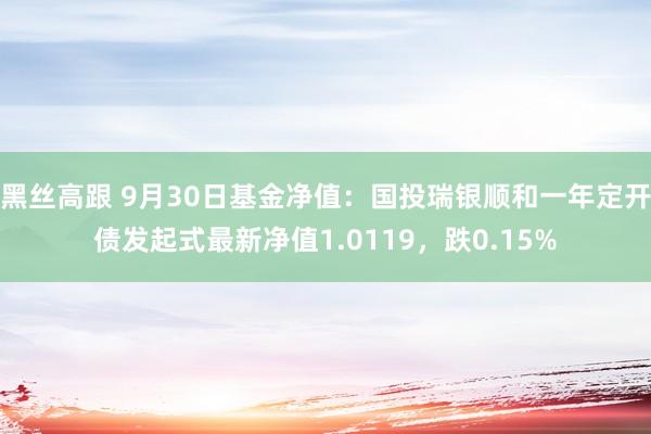 黑丝高跟 9月30日基金净值：国投瑞银顺和一年定开债发起式最新净值1.0119，跌0.15%