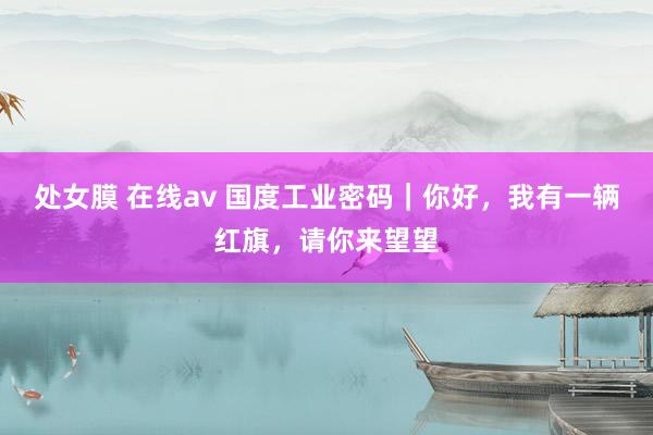 处女膜 在线av 国度工业密码｜你好，我有一辆红旗，请你来望望