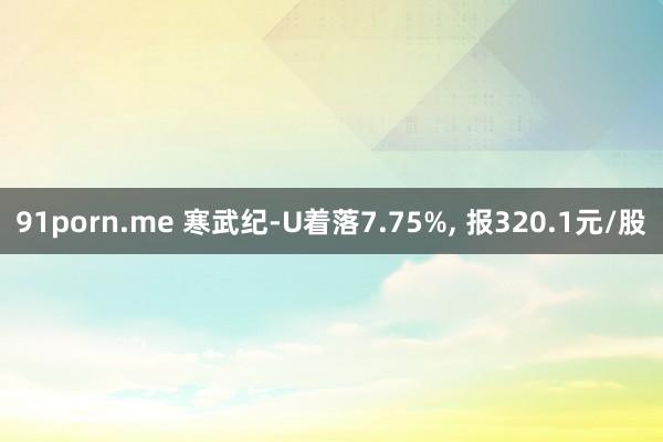 91porn.me 寒武纪-U着落7.75%， 报320.1元/股