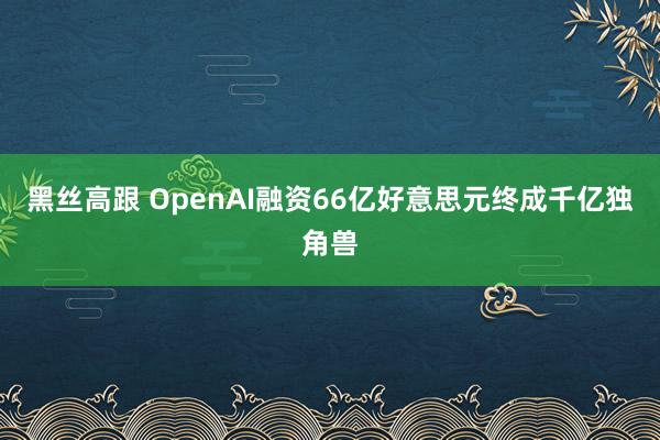 黑丝高跟 OpenAI融资66亿好意思元终成千亿独角兽