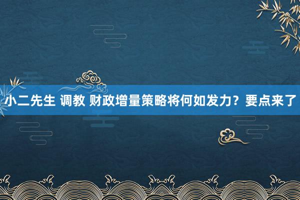 小二先生 调教 财政增量策略将何如发力？要点来了