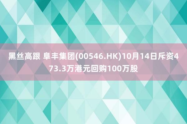 黑丝高跟 阜丰集团(00546.HK)10月14日斥资473.3万港元回购100万股