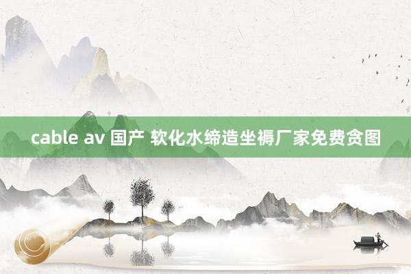 cable av 国产 软化水缔造坐褥厂家免费贪图