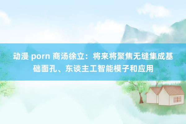 动漫 porn 商汤徐立：将来将聚焦无缝集成基础面孔、东谈主工智能模子和应用