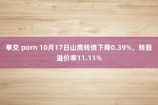 拳交 porn 10月17日山鹰转债下降0.39%，转股溢价率11.11%