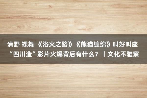 清野 裸舞 《浴火之路》《熊猫缠绵》叫好叫座 “四川造”影片火爆背后有什么？丨文化不雅察