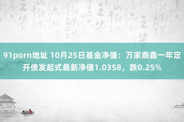 91porn地址 10月25日基金净值：万家鼎鑫一年定开债发起式最新净值1.0358，跌0.25%