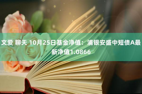 文爱 聊天 10月25日基金净值：浦银安盛中短债A最新净值1.0866