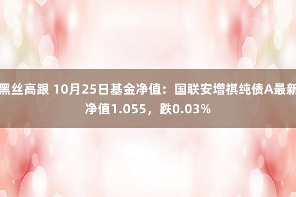 黑丝高跟 10月25日基金净值：国联安增祺纯债A最新净值1.055，跌0.03%