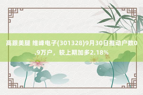 高跟美腿 维峰电子(301328)9月30日推动户数0.9万户，较上期加多2.18%