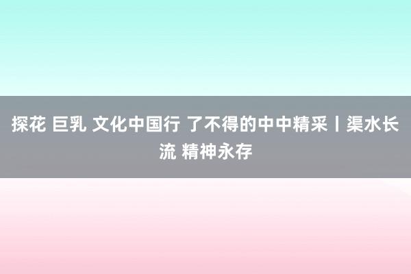 探花 巨乳 文化中国行 了不得的中中精采丨渠水长流 精神永存