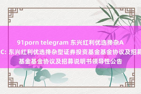 91porn telegram 东兴红利优选搀杂A，东兴红利优选搀杂C: 东兴红利优选搀杂型证券投资基金基金协议及招募说明书领导性公告