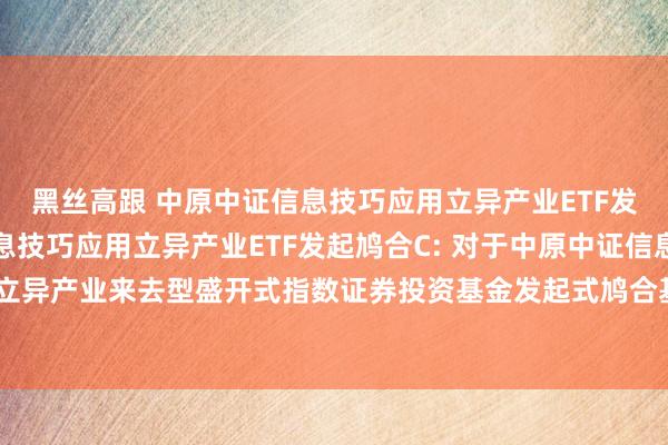 黑丝高跟 中原中证信息技巧应用立异产业ETF发起鸠合A，中原中证信息技巧应用立异产业ETF发起鸠合C: 对于中原中证信息技巧应用立异产业来去型盛开式指数证券投资基金发起式鸠合基金基金公约及招募发挥书领导性公告