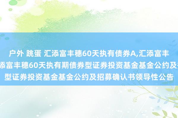 户外 跳蛋 汇添富丰穗60天执有债券A，汇添富丰穗60天执有债券C: 汇添富丰穗60天执有期债券型证券投资基金基金公约及招募确认书领导性公告