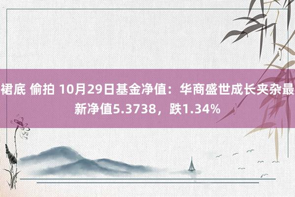 裙底 偷拍 10月29日基金净值：华商盛世成长夹杂最新净值5.3738，跌1.34%