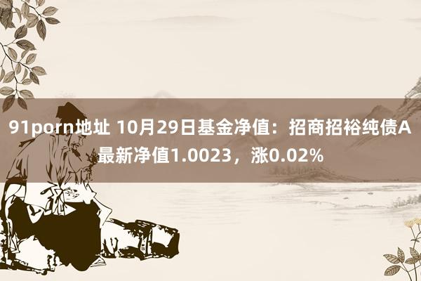 91porn地址 10月29日基金净值：招商招裕纯债A最新净值1.0023，涨0.02%