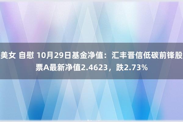 美女 自慰 10月29日基金净值：汇丰晋信低碳前锋股票A最新净值2.4623，跌2.73%