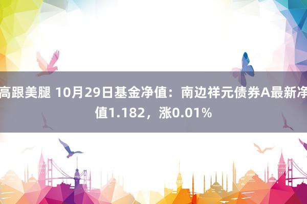 高跟美腿 10月29日基金净值：南边祥元债券A最新净值1.182，涨0.01%